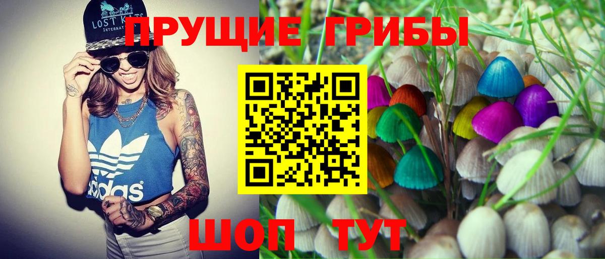 Псилоцибиновые грибы Psilocybine cubensis  Вход с VPN  Иваново 